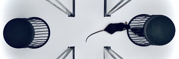 FlorenceAllain Profile Banner