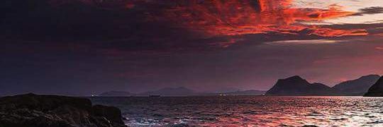 Vermilion Rose banner