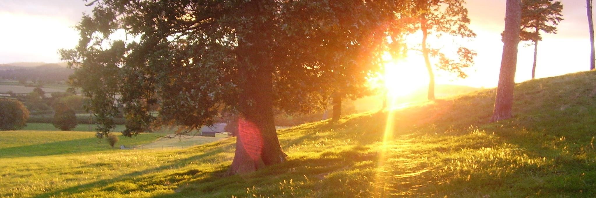 A L Waddington-Feather banner
