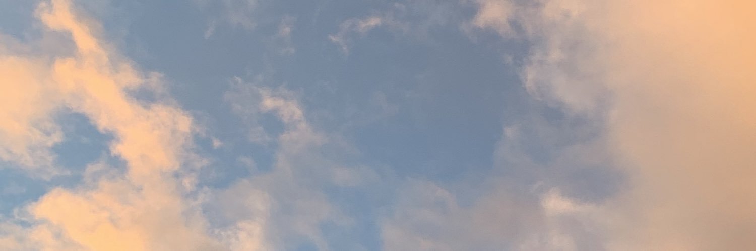 Polyanofe's profile banner image