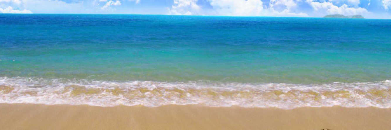 Rebecca Pollard banner