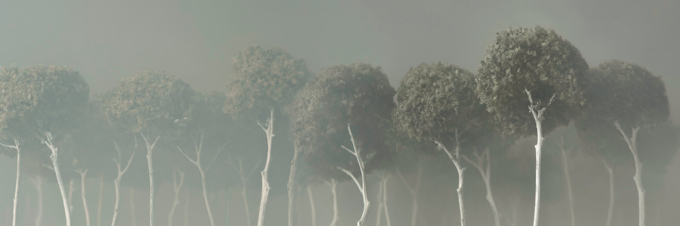 Refoto_re's profile banner image