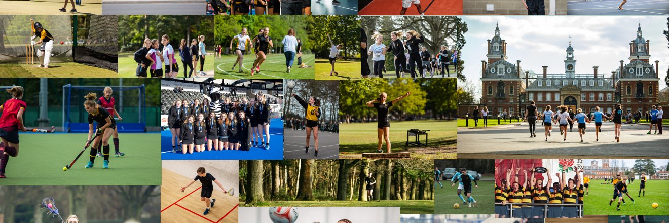 Wellington Sport banner