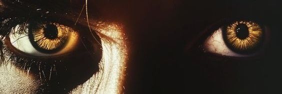 𝐒 𝐞 𝐚 𝐧 banner