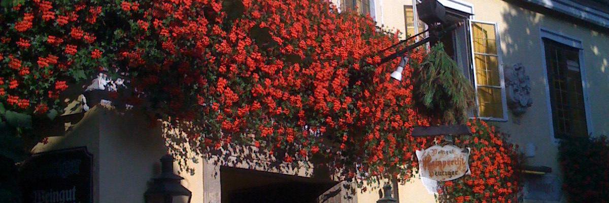 Ralph Armstrong @ralpharmstrong.bsky.social banner