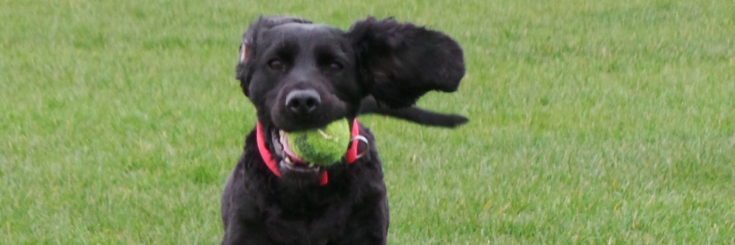 Grahamtking's profile banner image