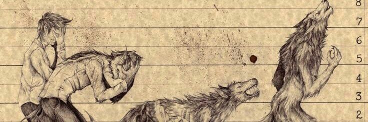 NoGodNoPlace's profile banner image
