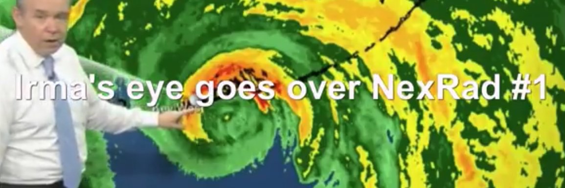 Raphaelle O'Neil banner