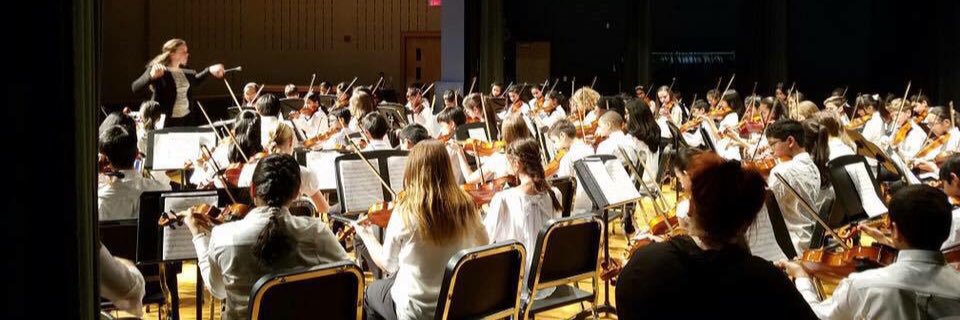 NoviMSOrchestra banner