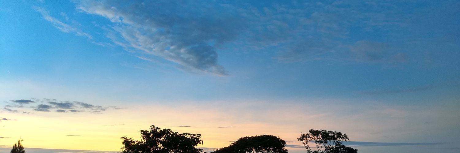 diejorodriguez's profile banner image