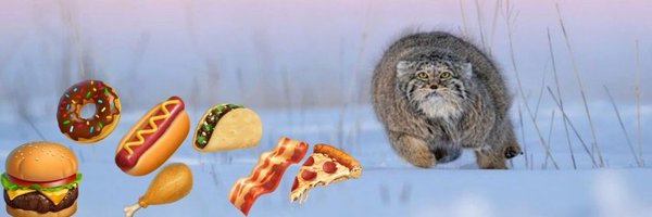 ibejiggly Profile Banner