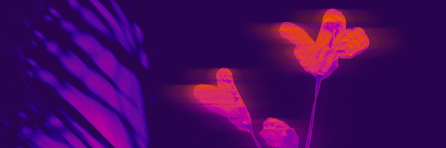 Eva Cabanes banner