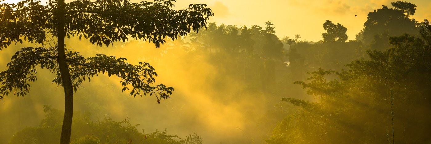 RainforClimate's profile banner image