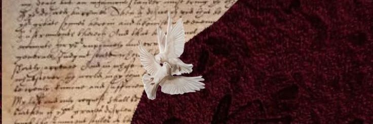 basma_mansour4's profile banner image