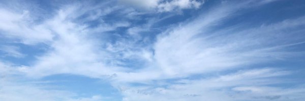 Allende_DS Profile Banner
