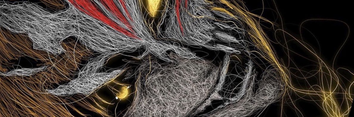 karnage1102's profile banner image