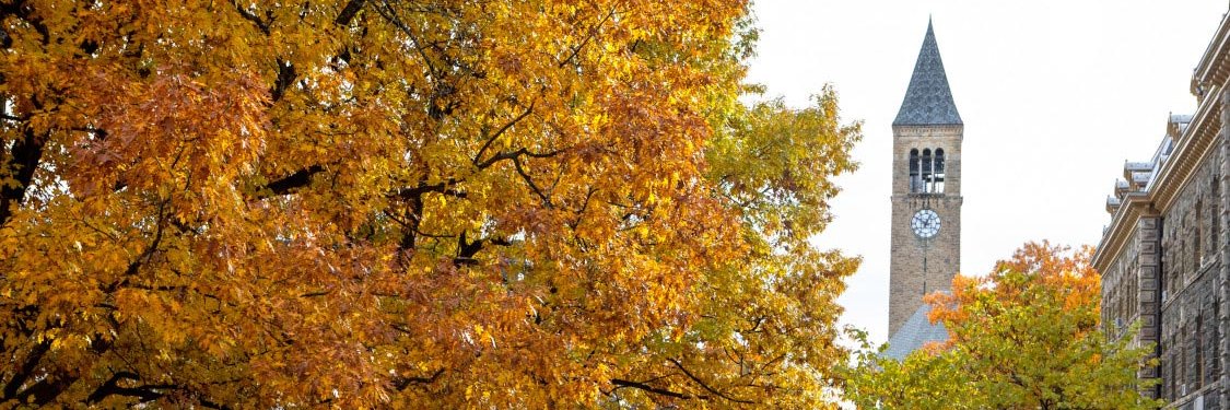 Cornell University Near Eastern Studies banner