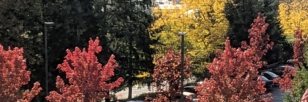 TheMokaya's profile banner image