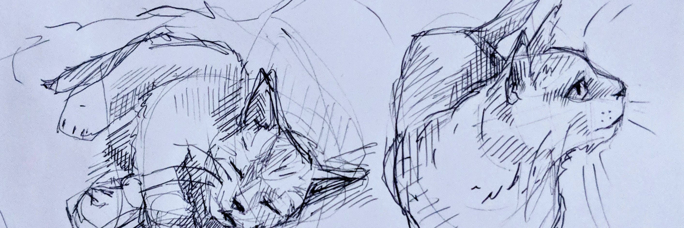 _pxssycontrol_'s profile banner image