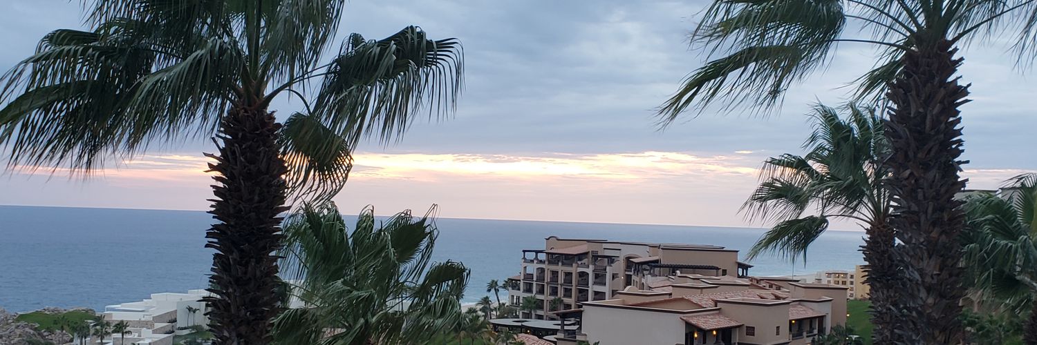 LakeshaPollard's profile banner image
