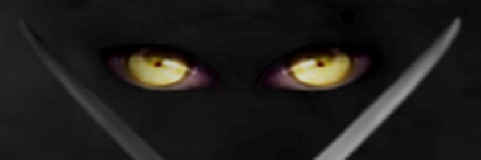 Mr. Terraverse banner