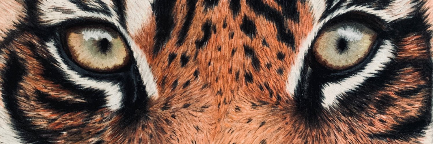 eastyorkgallery's profile banner image
