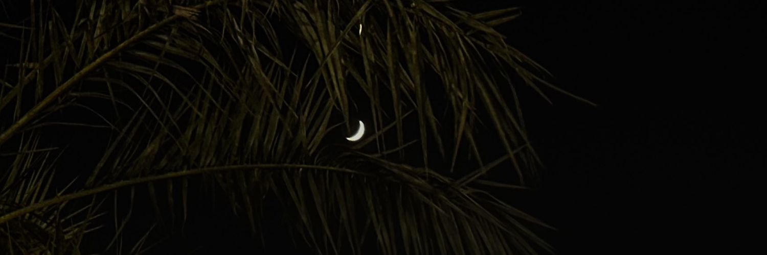 NReda101's profile banner image
