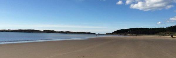 Janette Turner banner