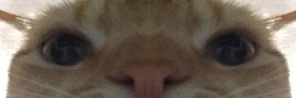 KraziksS Profile Banner