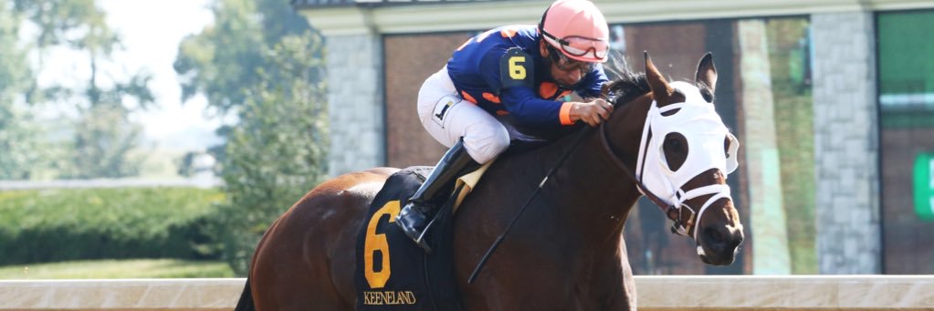OakviewStable's profile banner image