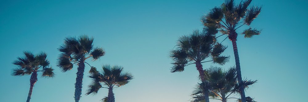 LecsBlvck's profile banner image