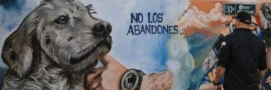 RosLeguizamo banner