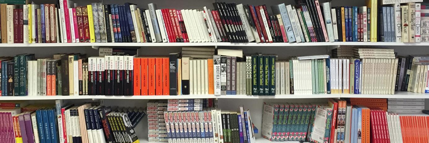 Charlotte Sheedy Lit banner