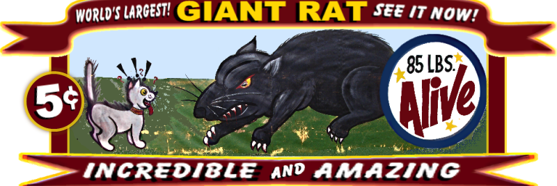 19coop49's profile banner image