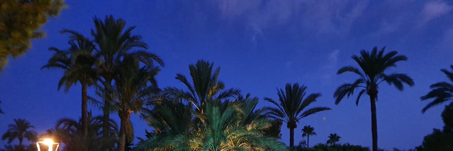 Alfonso Ferrandez banner