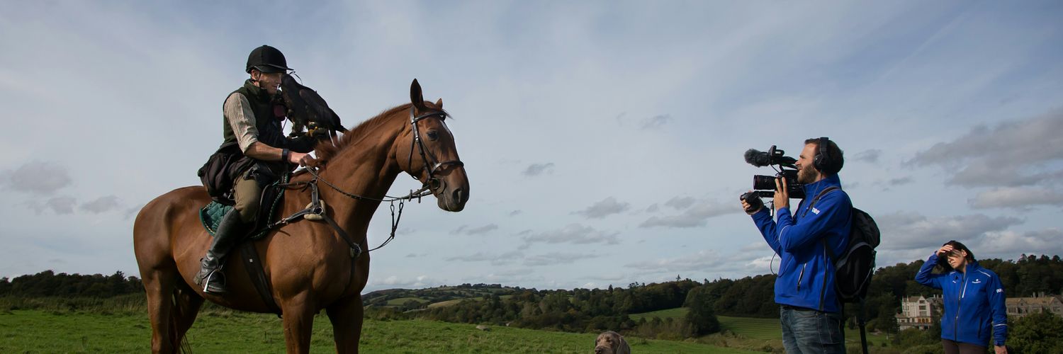 tvhenry's profile banner image