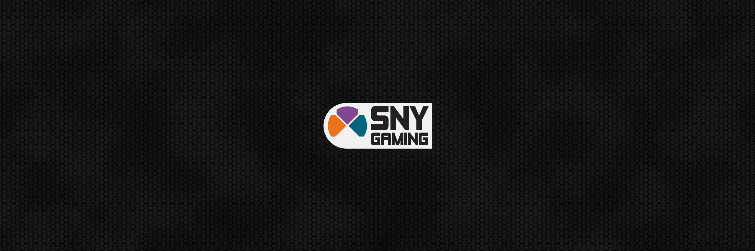 SNY_Gaming's profile banner image