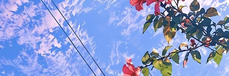 chrisceci's profile banner image
