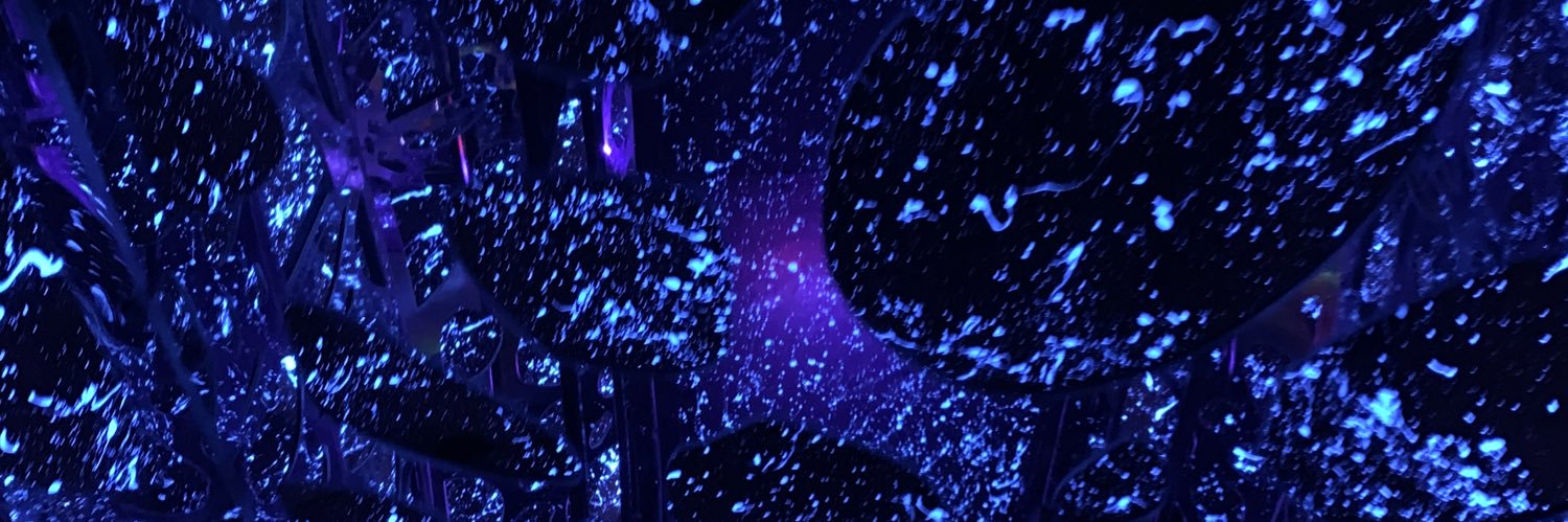 nikkiiholcombb's profile banner image