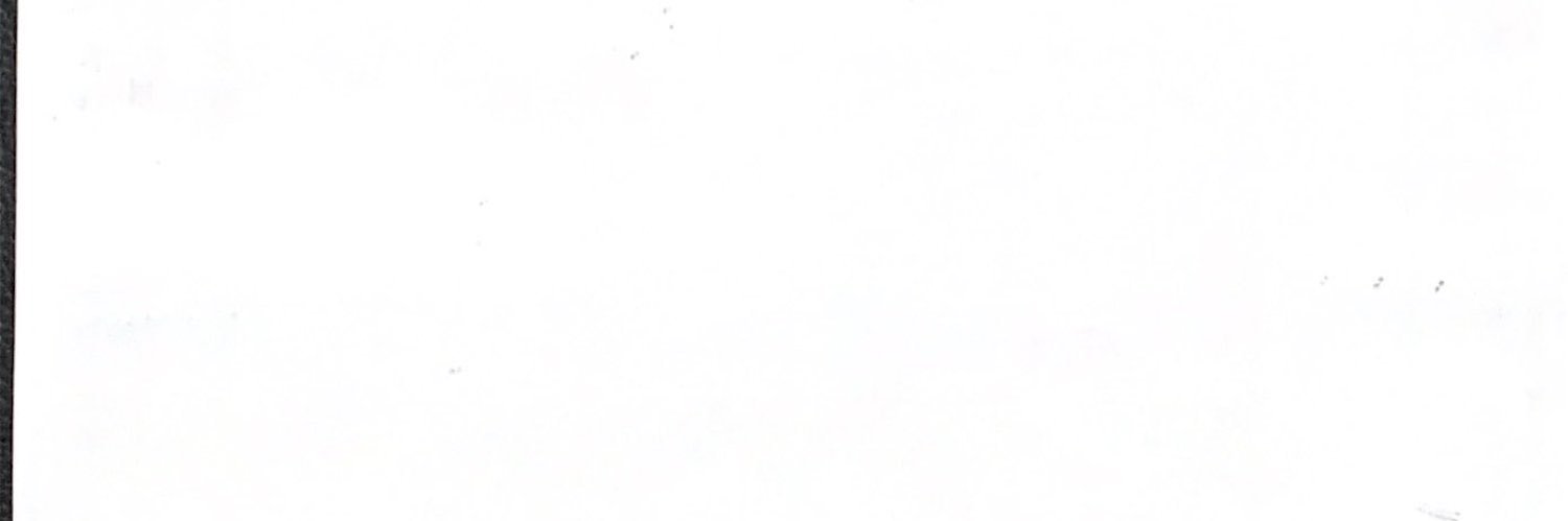 zllle_'s profile banner image