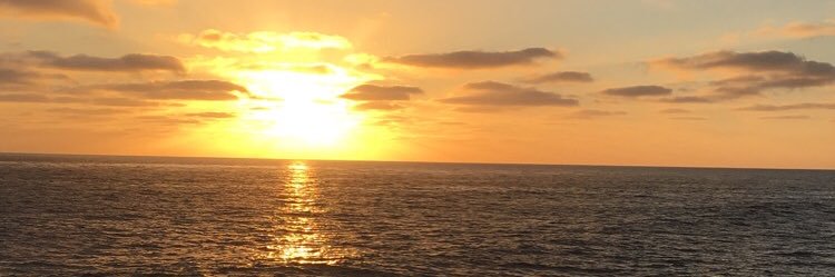 ljnuzzi's profile banner image