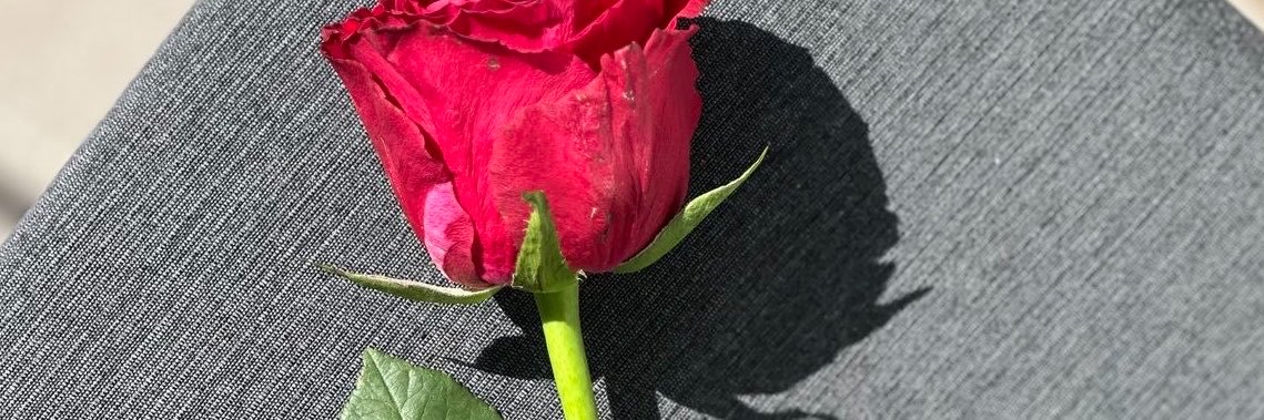 Dorothy1428's profile banner image