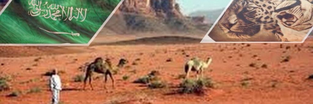ddfaas11's profile banner image
