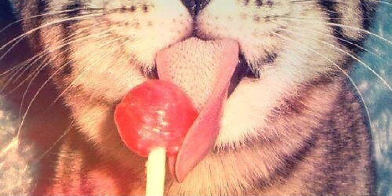 MyFeelingTH banner