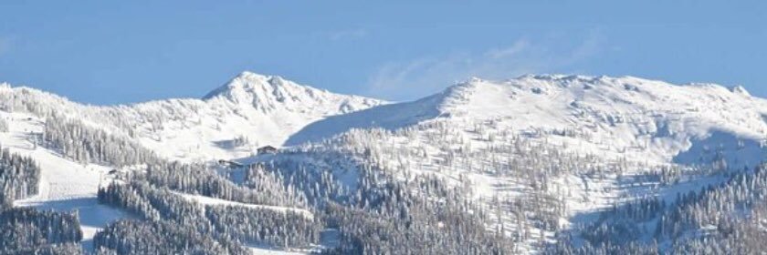 Chris Wallner banner