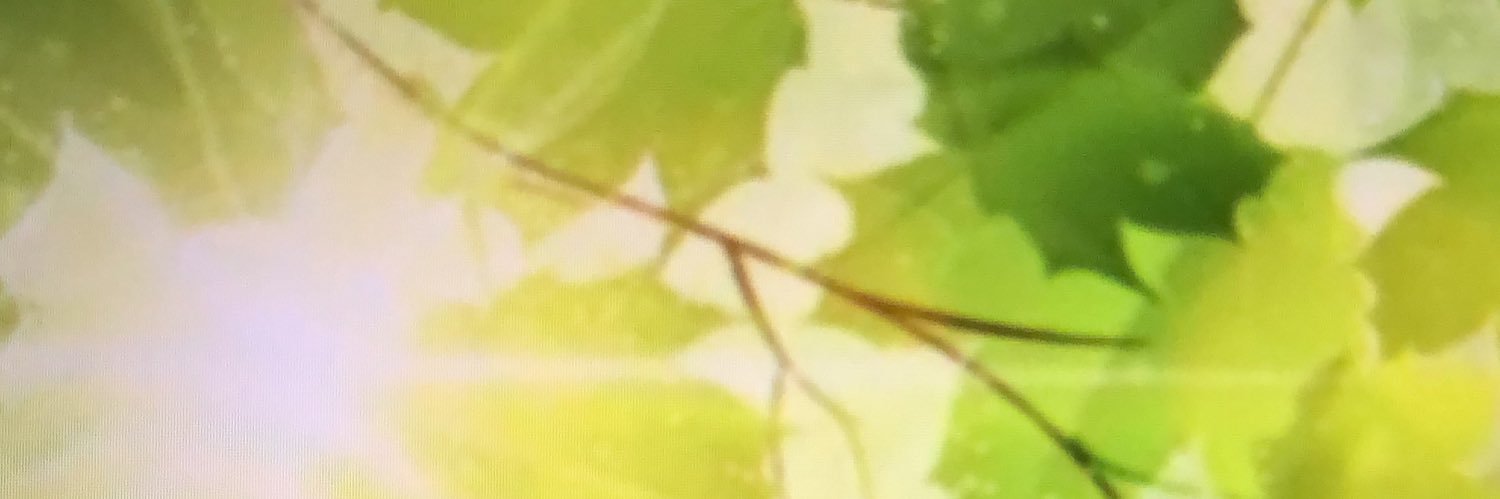 freakfreak72's profile banner image