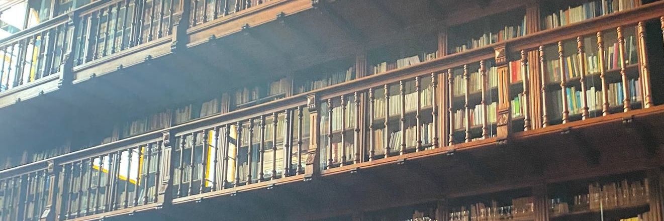 ✨Minerva 🌌 banner