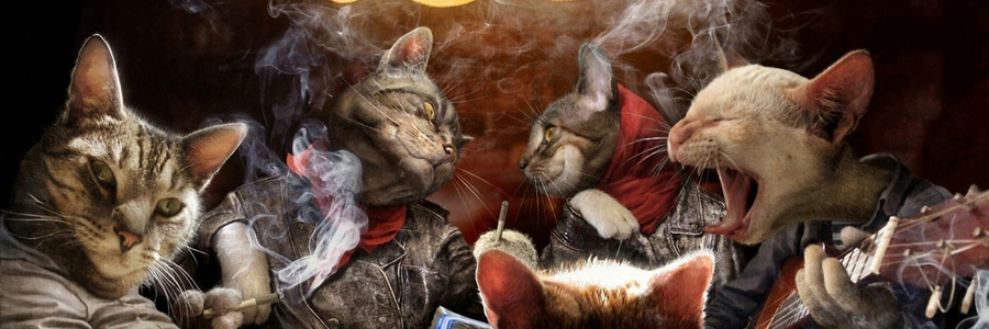 Fco. Escoppinichi banner