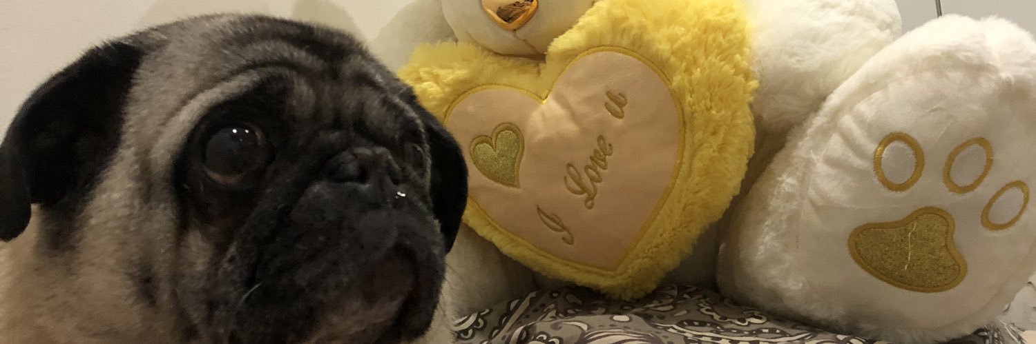 Sakuraa_dream's profile banner image