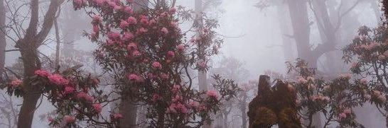 AslTunaa's profile banner image
